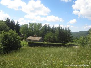 Rifugio Trearie